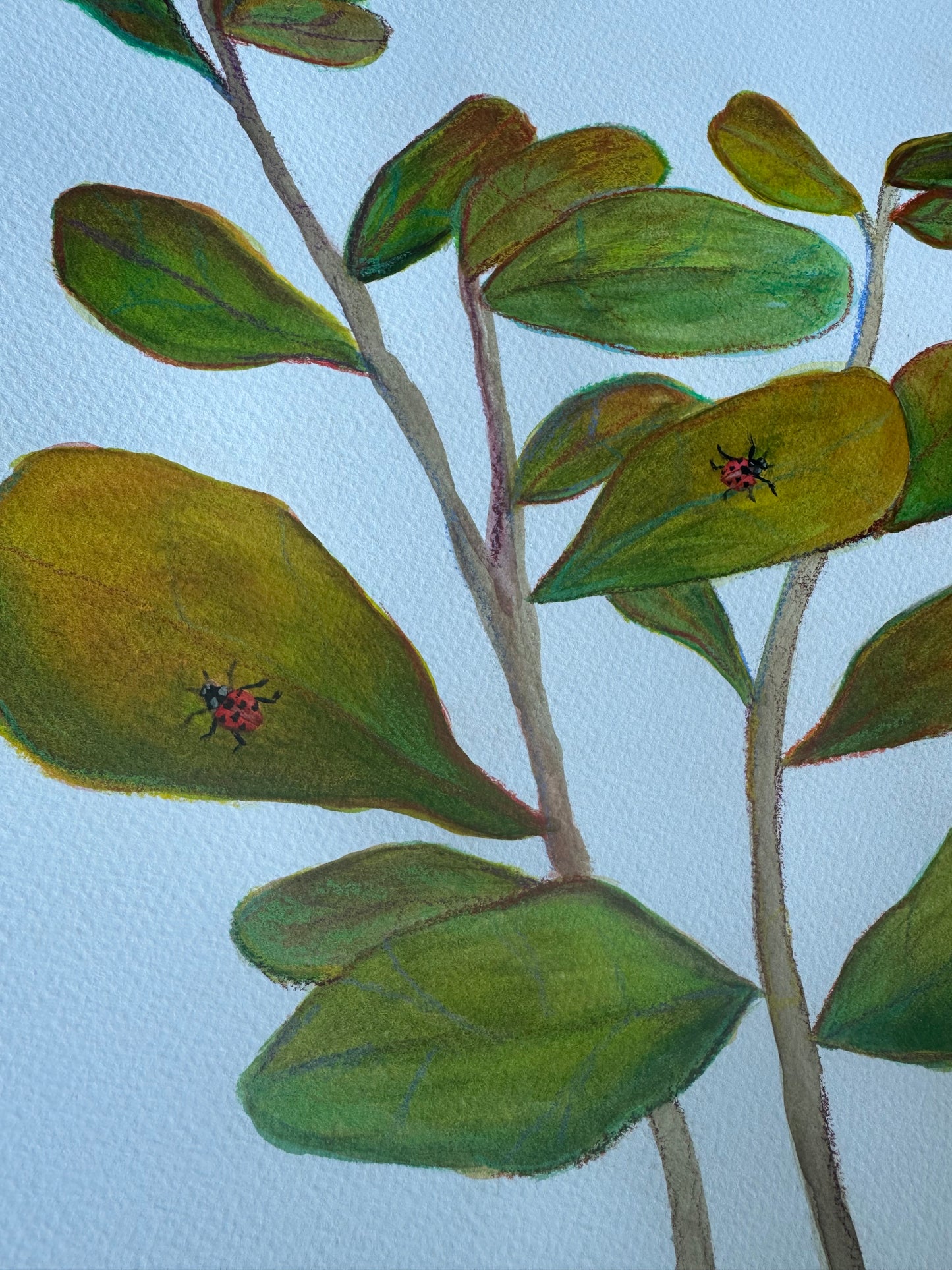 ‘Ladybug Ladder’ Original