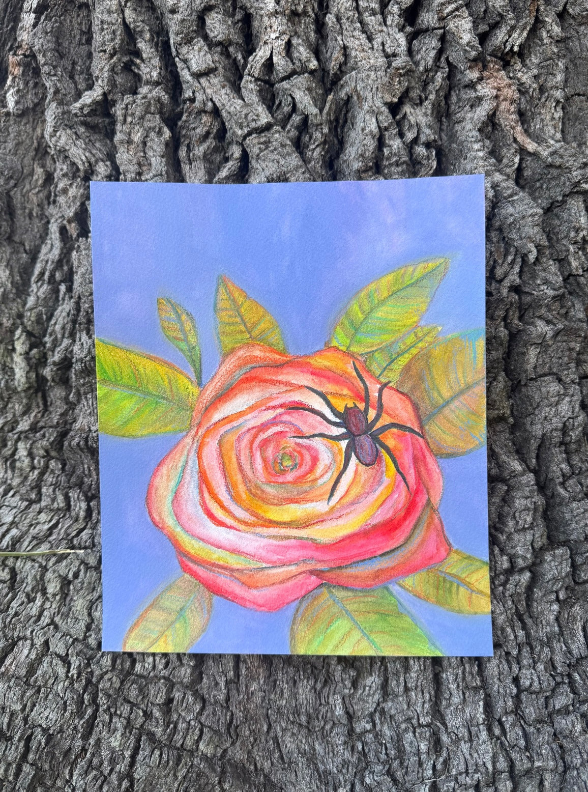 ‘Mama’s Home’ Original