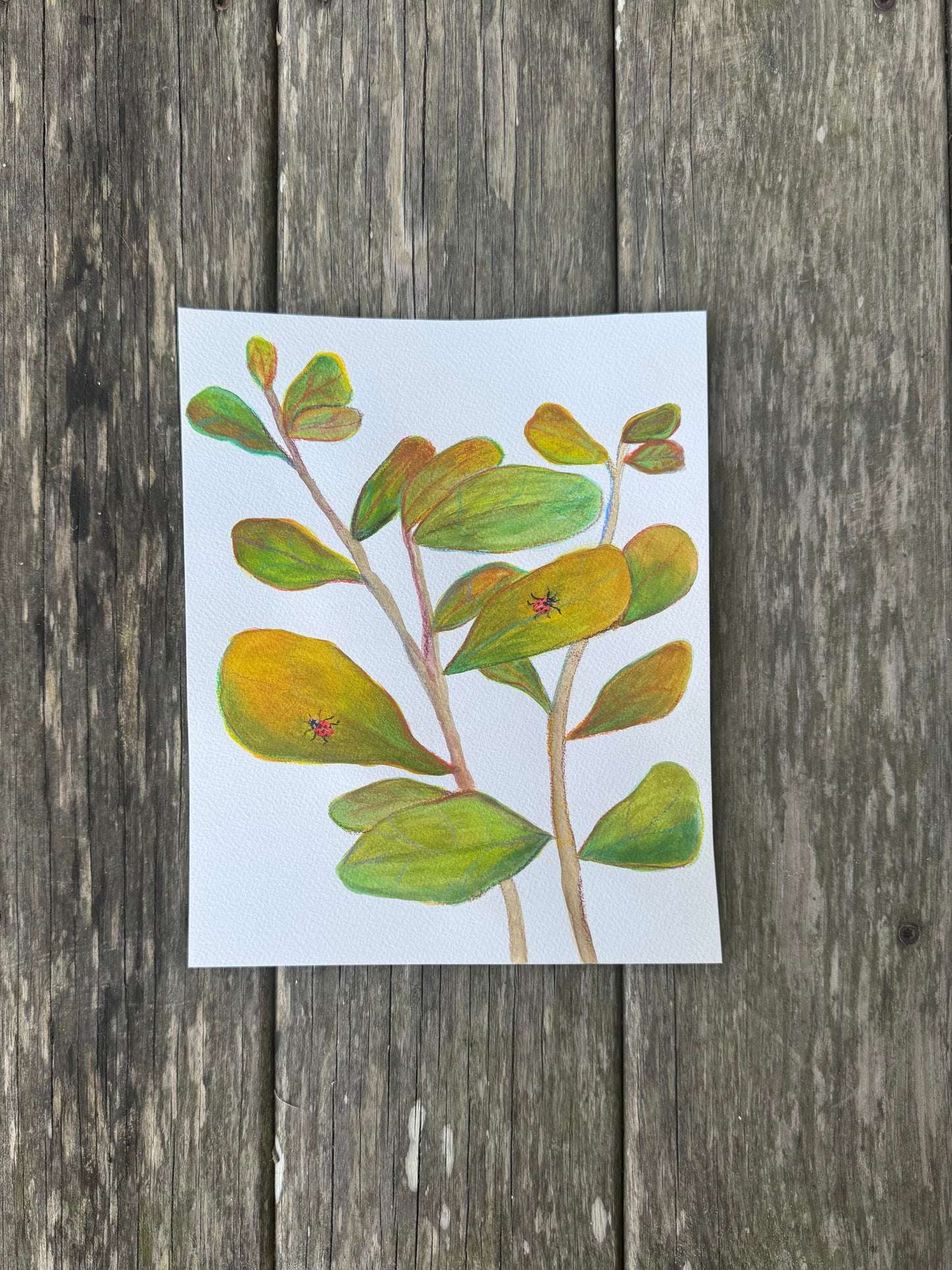 ‘Ladybug Ladder’ Original