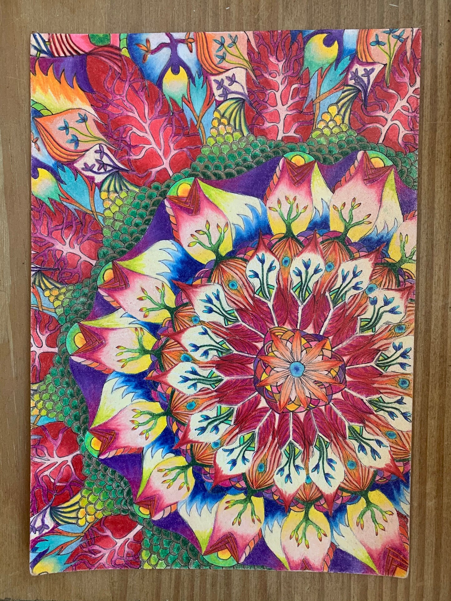 Anderson’s Mandala