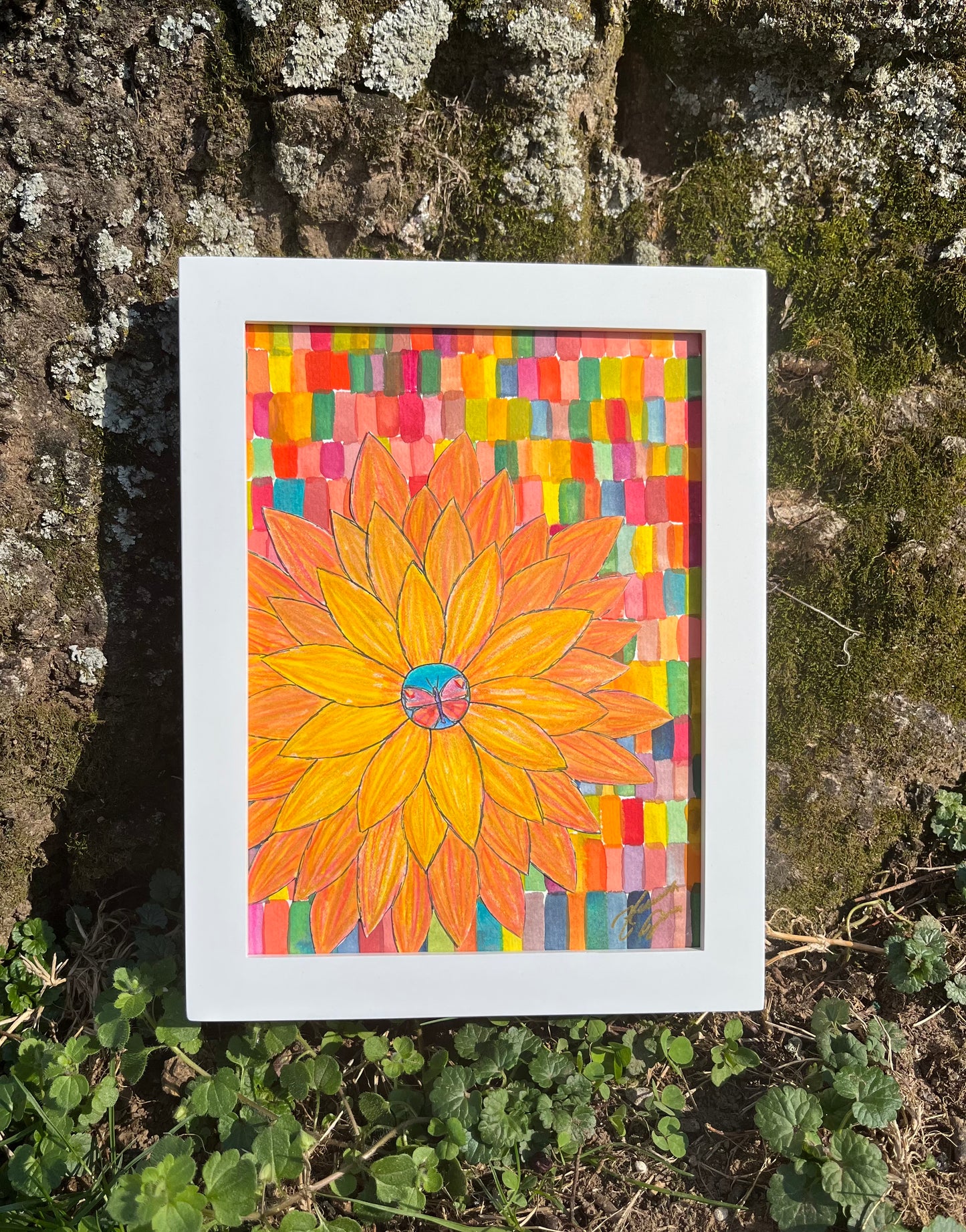 ‘Butterfly Hot Tub’ Original