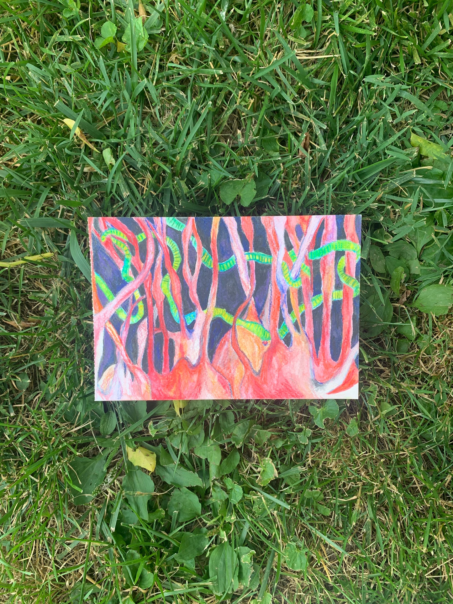 ‘Heart Worm’ Original
