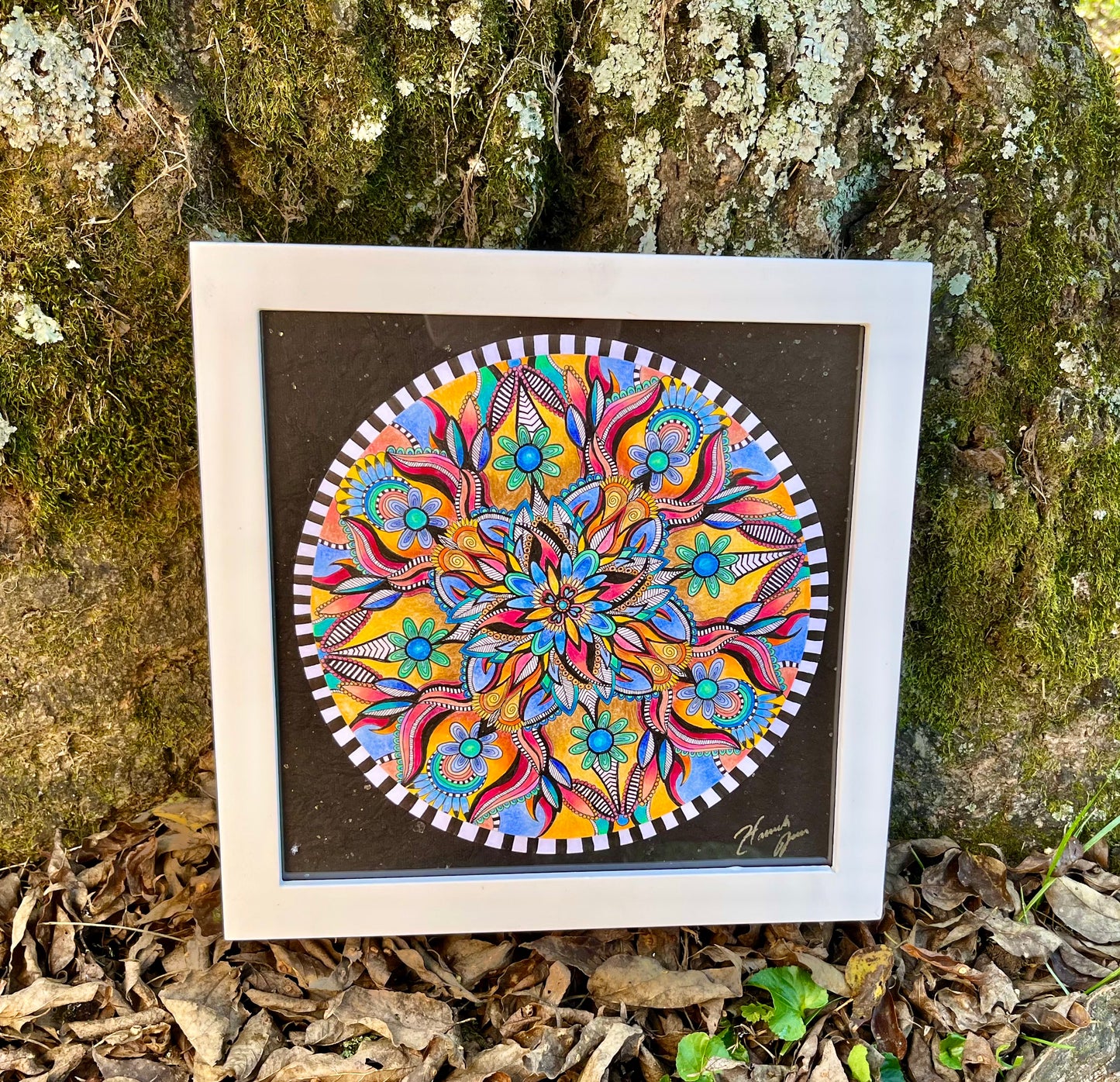 ‘Marmalade’ Original