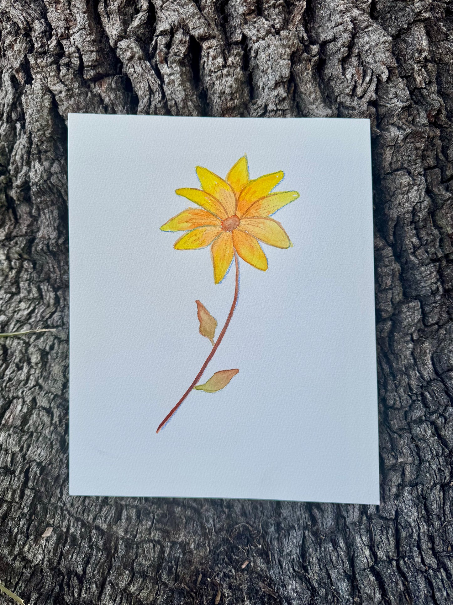 ‘Sunny’ Original