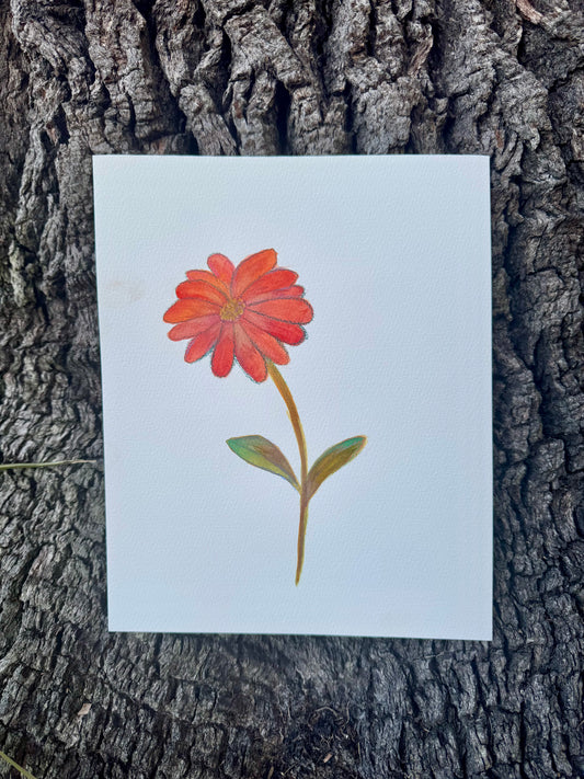 ‘Sally’ Original