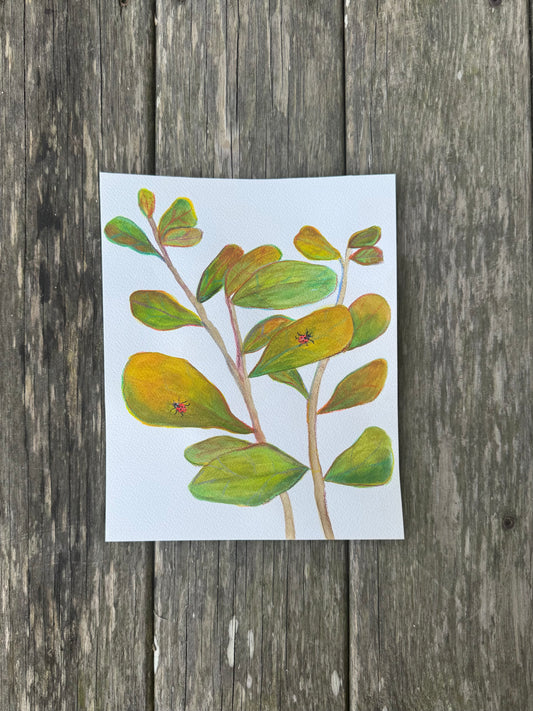 ‘Ladybug Ladder’ Original
