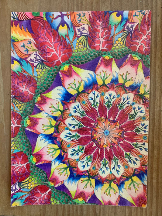 Anderson’s Mandala